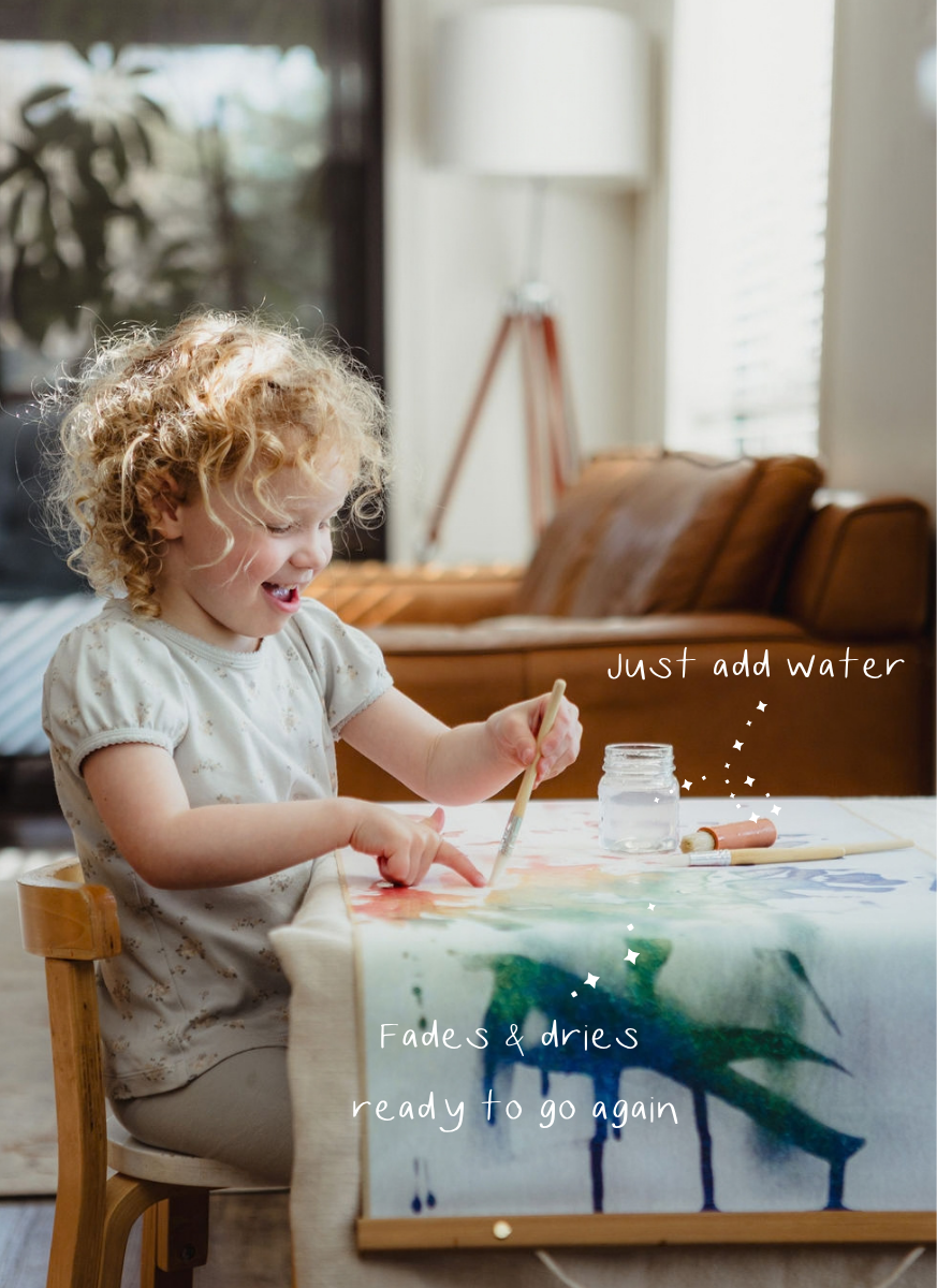 Rainbow Magic Canvas & Brush Set: Paint with just water!